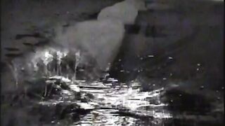 Mini nuclear explosion literally disintegrated the Ukrainians.