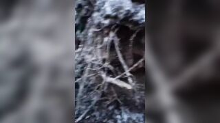 Ukrainian films his dead friends