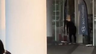 Man Attacked With Machete Outside Gurney Paragon Mall