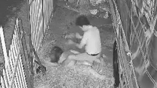 Vietnamese Man Stabs Former Lover to Death In Front of Child
