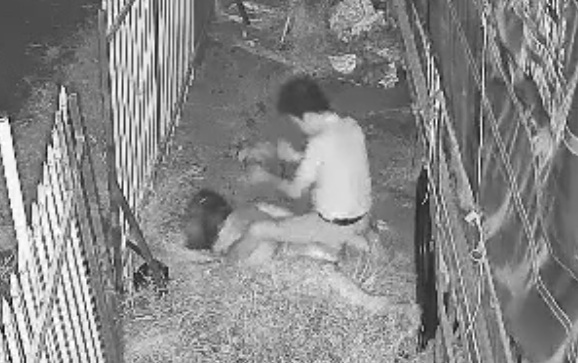 Vietnamese Man Stabs Former Lover to Death In Front of Child