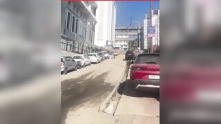 Stray dog seen with amputated human leg on hospital premises
