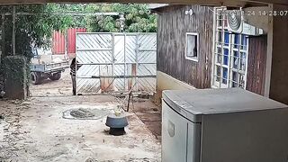 Bricklayer Dies From Blow To The Head By Wooden Beam