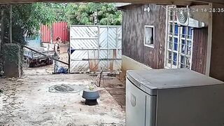 Bricklayer Dies From Blow To The Head By Wooden Beam