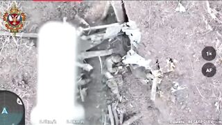 Bird is the Word (Dead Ukrop Edition)