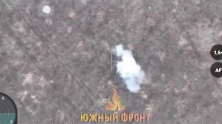 Bird is the Word (Dead Ukrop Edition)