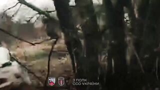 Russian invaders stumble on soldiers from 3rd Separate Special