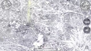 Ukrainian experiences extreme anal prolapse.