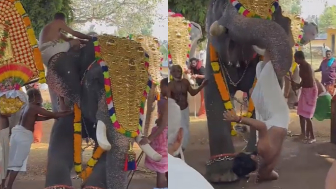 Temple priest  injured after being attacked by an elephant in India