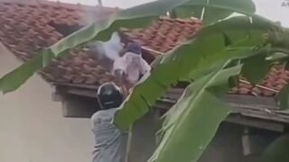 Man Dies After Being Stung By Wasps In Indonesia