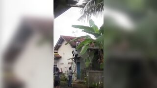 Man Dies After Being Stung By Wasps In Indonesia