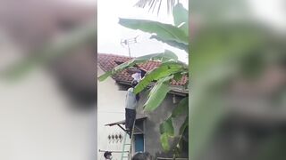 Man Dies After Being Stung By Wasps In Indonesia