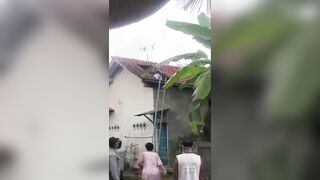 Man Dies After Being Stung By Wasps In Indonesia