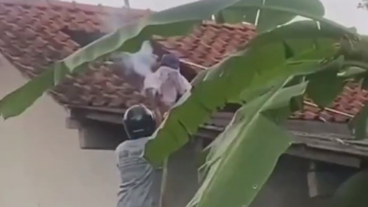 Man Dies After Being Stung By Wasps In Indonesia