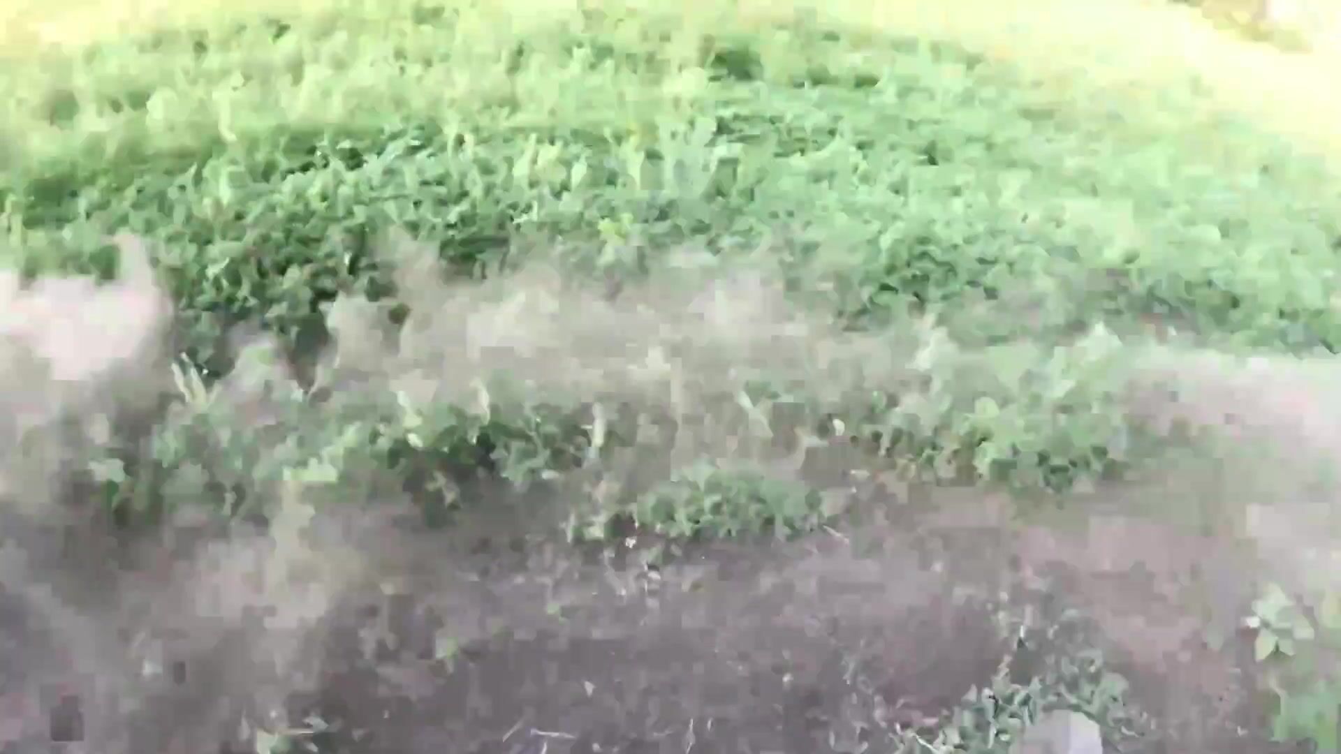 A more complete video of the ambush on a group of Russian motorcyclists