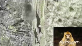 The Russians robbed their own wounded comrade and left him to die