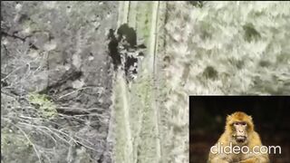 The Russians robbed their own wounded comrade and left him to die