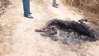 A charred body was found tied up on the side of BR-235