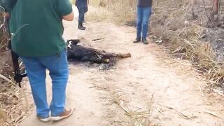 A charred body was found tied up on the side of BR-235