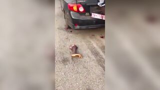 Woman Killed, Dismembered By  Speeding Driver Who Was Allegedly Drunk