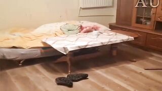 New Footage: Polish Teenager Murdered His Stepfather and Great-Grandmother With Axe