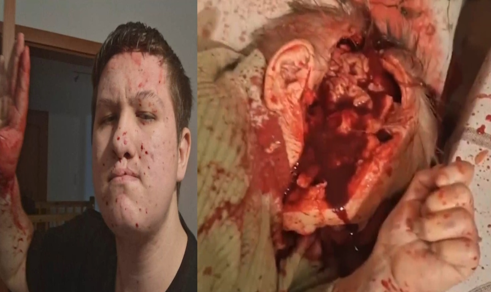 New Footage: Polish Teenager Murdered His Stepfather and Great-Grandmother With Axe