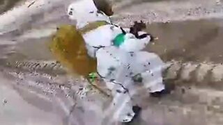 Minus 100 Ukrainian rats.