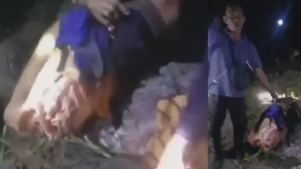 A Tiger Killed A Man Near The River In Indonesia