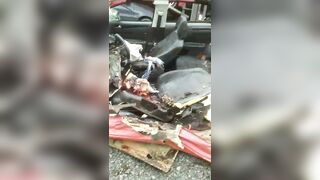 Terrible Aftermath Of Deadly Highway Crash