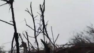 A classic killing in trench warfare