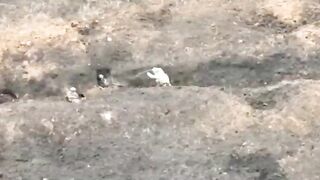 A Ukrainian soldier killed a Russian in a trench