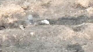 A Ukrainian soldier killed a Russian in a trench