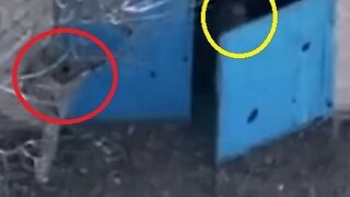 It's not even worth giving up anymore