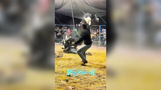Bullrider Dies During Event In Mexico