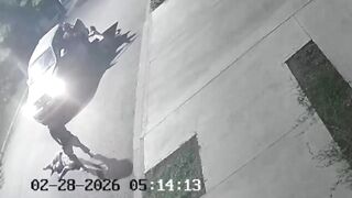 Man Brutally Attacked By His GF`s EX In Argentina
