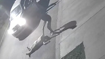 Man Brutally Attacked By His GF`s EX In Argentina