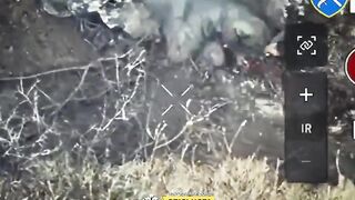 Russian Molniya UAV operators eliminated by Ukrainian drone operators