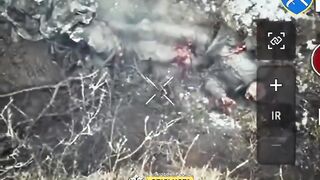 Russian Molniya UAV operators eliminated by Ukrainian drone operators