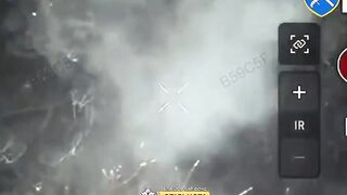 Russian Molniya UAV operators eliminated by Ukrainian drone operators