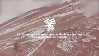 Ukrainian 95th Separate Air Assault Brigade took out Russian soldiers