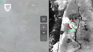 Ukrainian 95th Separate Air Assault Brigade took out Russian soldiers