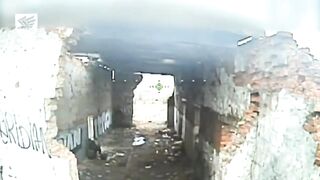 Ukrainian 95th Separate Air Assault Brigade took out Russian soldiers