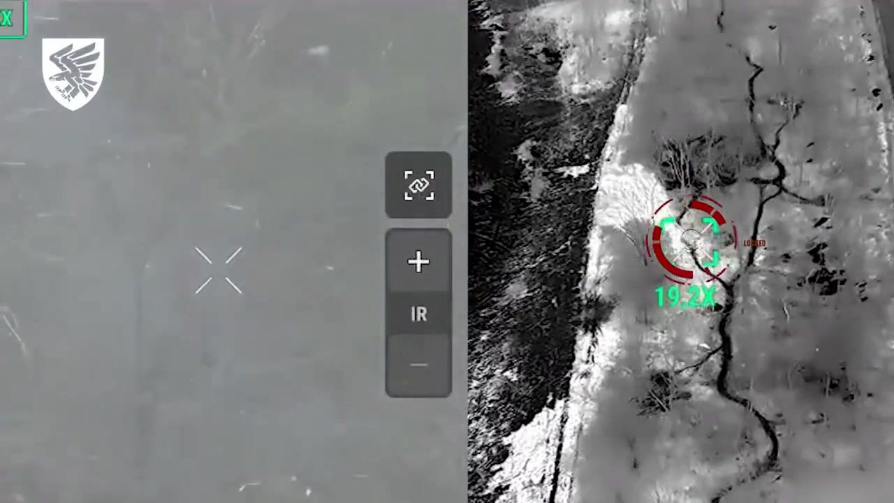 Ukrainian 95th Separate Air Assault Brigade took out Russian soldiers