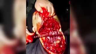 gore compilation