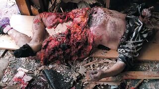 gore compilation