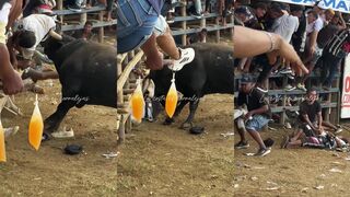 brutal bull attack in colombia