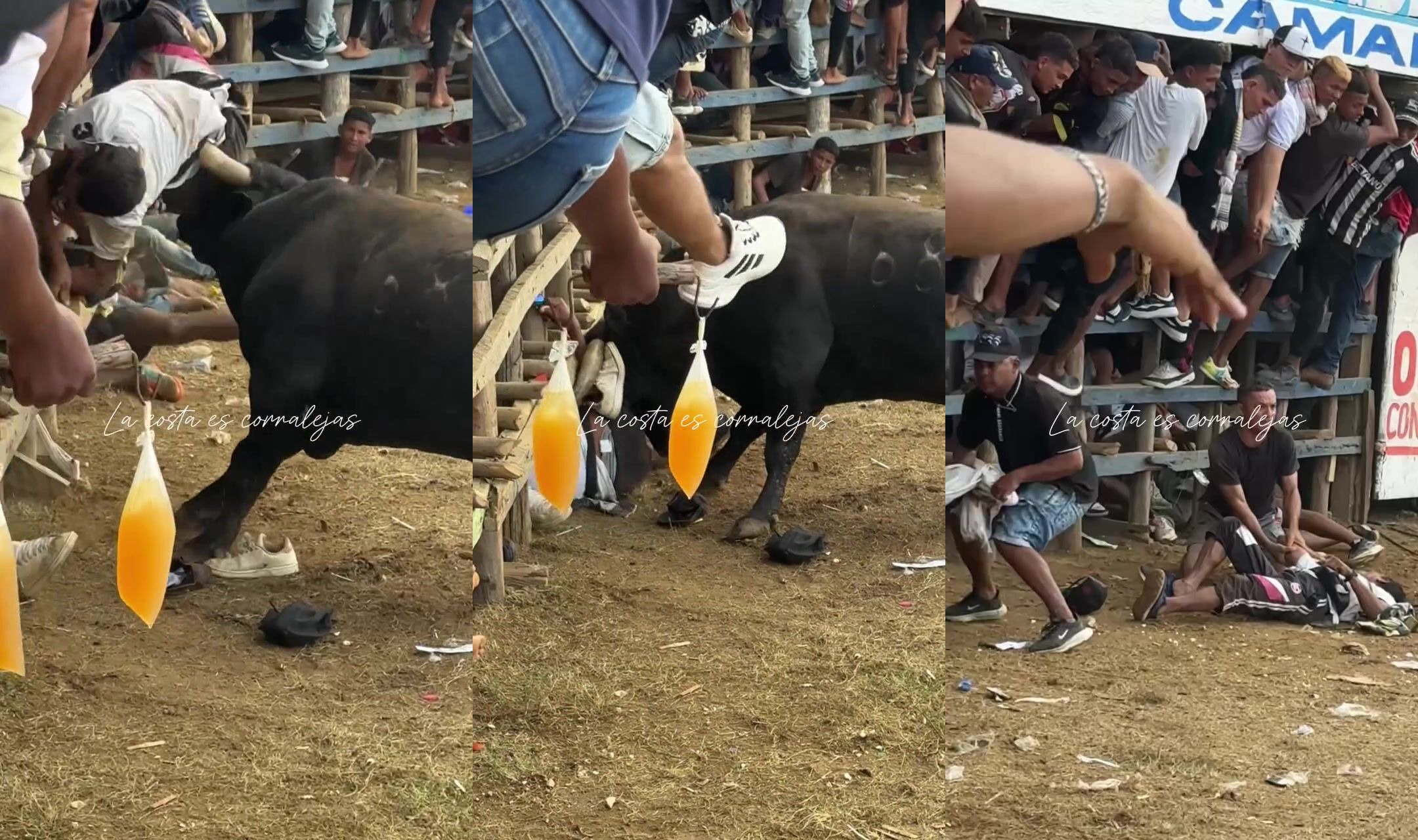 Brutal bull attack in Colombia