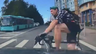 Cyclist Pays The Price For Running Red Light