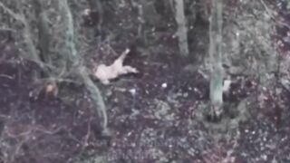 Ukrat pretended to be dead until he was shot.