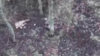 Ukrat pretended to be dead until he was shot.